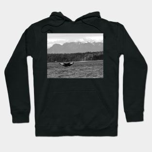 A Humpback Whale Dives Off the Shores of British Columbia Hoodie